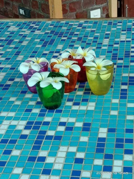 Sohana Eco Retreat Farmhouse - Karjat Chinchavli 外观 照片