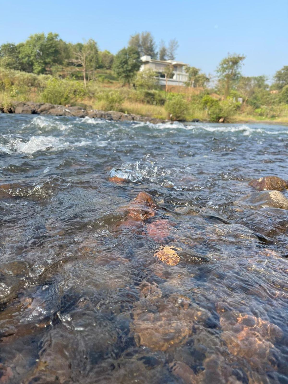 Sohana Eco Retreat Farmhouse - Karjat Chinchavli 客房 照片